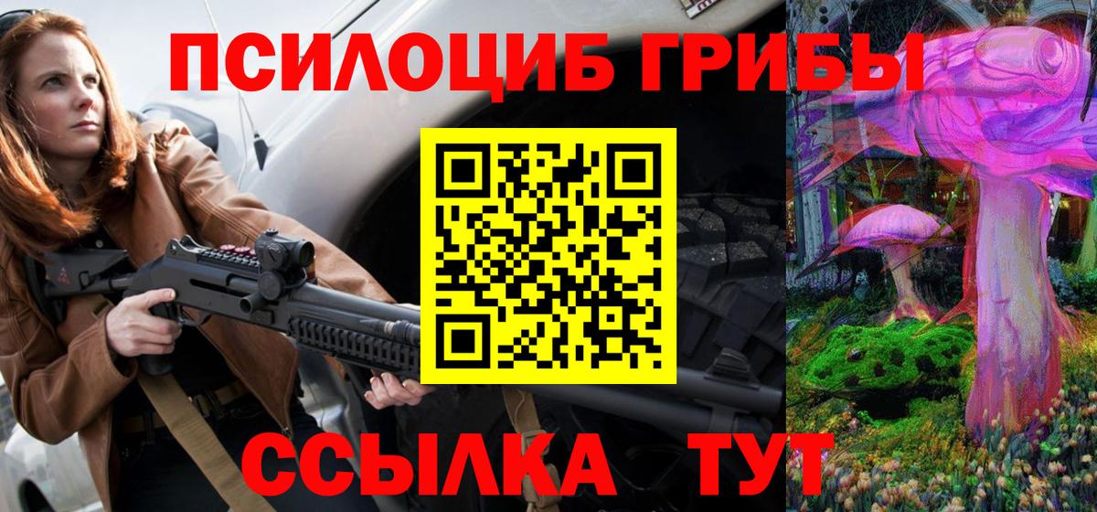 Псилоцибиновые грибы Psilocybine cubensis  Печора 