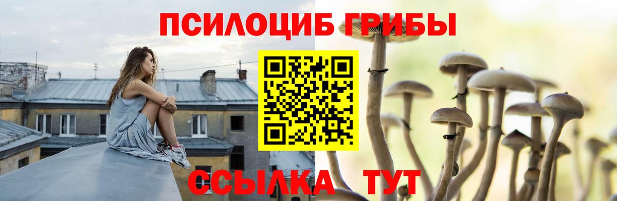 Печора  Псилоцибиновые грибы GOLDEN TEACHER  Вход с VPN  Псилоцибиновые грибы Psilocybine cubensis 